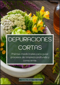 Depuraciones Cortas