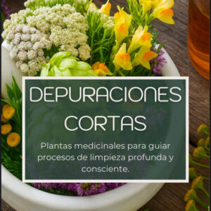 Depuraciones Cortas