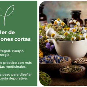 Taller de Depuraciones Cortas