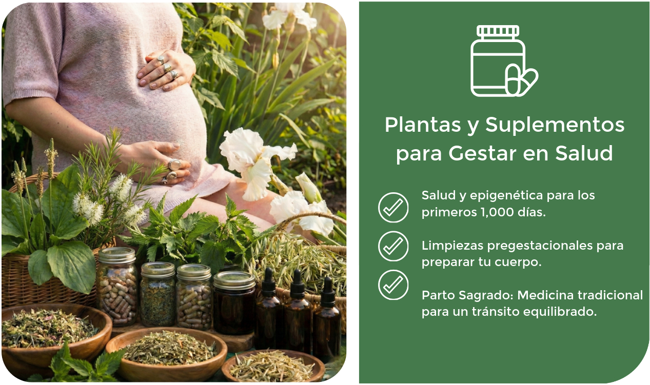 Plantas y Suplementos para Gestar en Salud